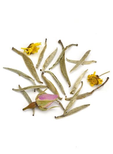 Chamomile Rose Silver Needle White Tea
