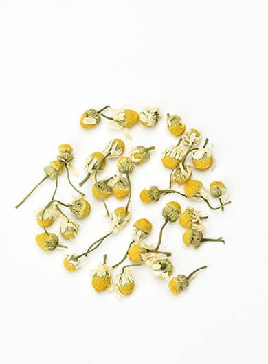Chamomile Herbal Tea