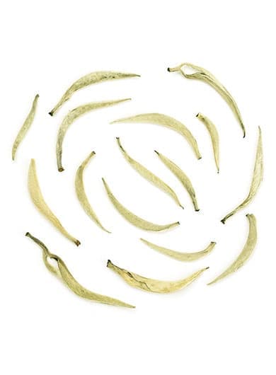 Moonlight Beauty Raw Pu-erh Loose Tea