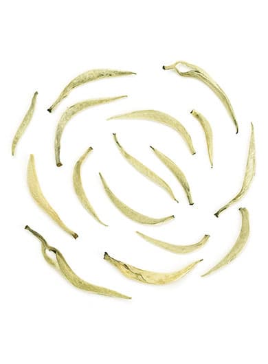 Moonlight Beauty Silver Needle White Tea